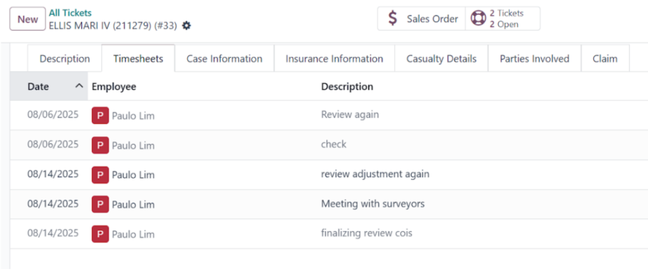 ERP Consultation